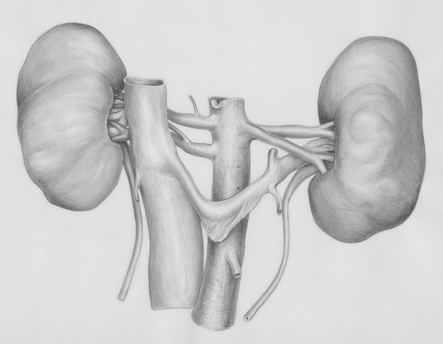 Photo Gallbladder Polyps Treatment